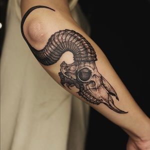 Meet your Posher, Jose